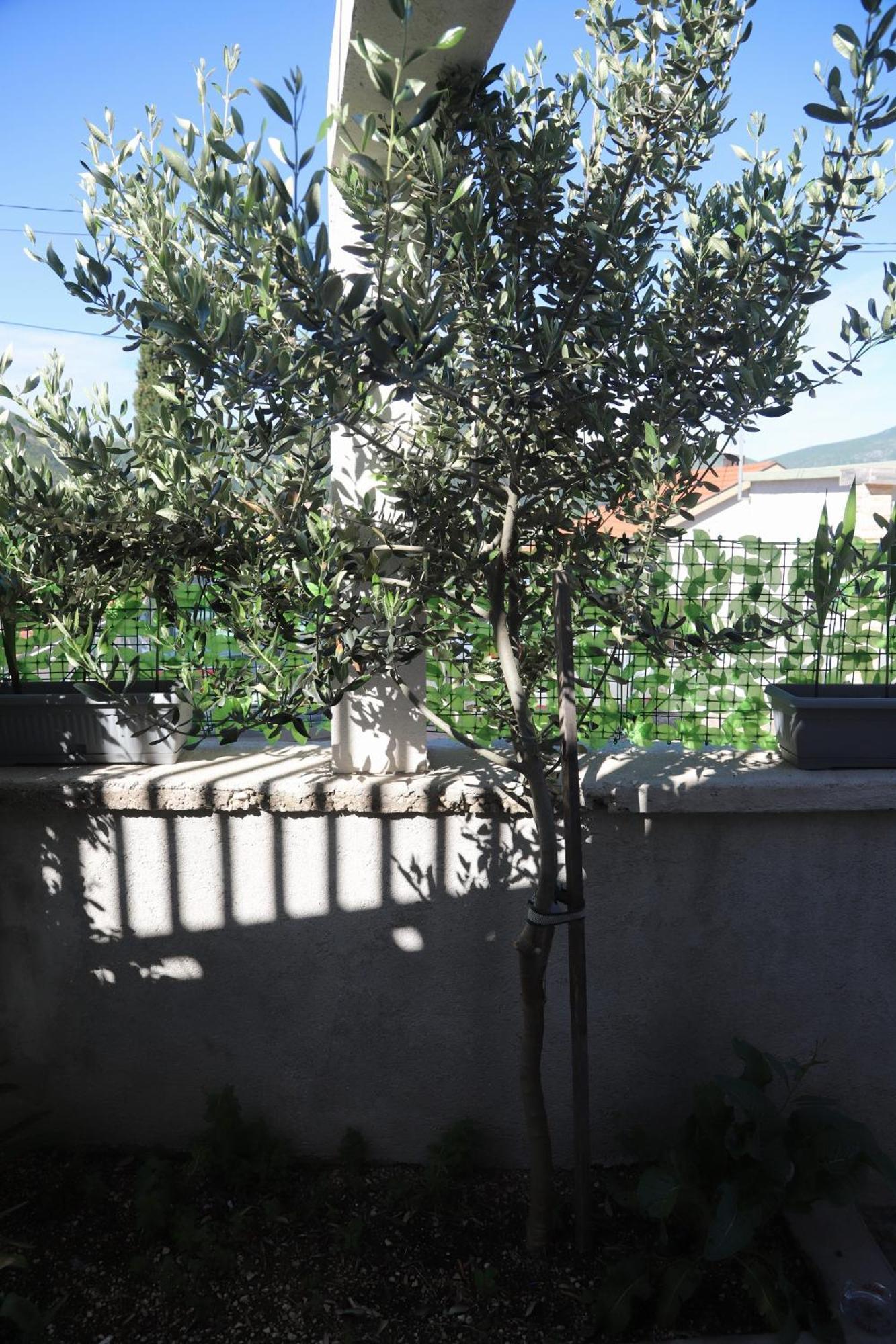 Apartman Hadze Mostar Exterior photo